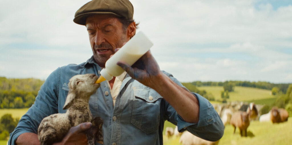 Hugh Jackman plays a shepherd to a flock of sheep who love him dearly. - The Latino Slant