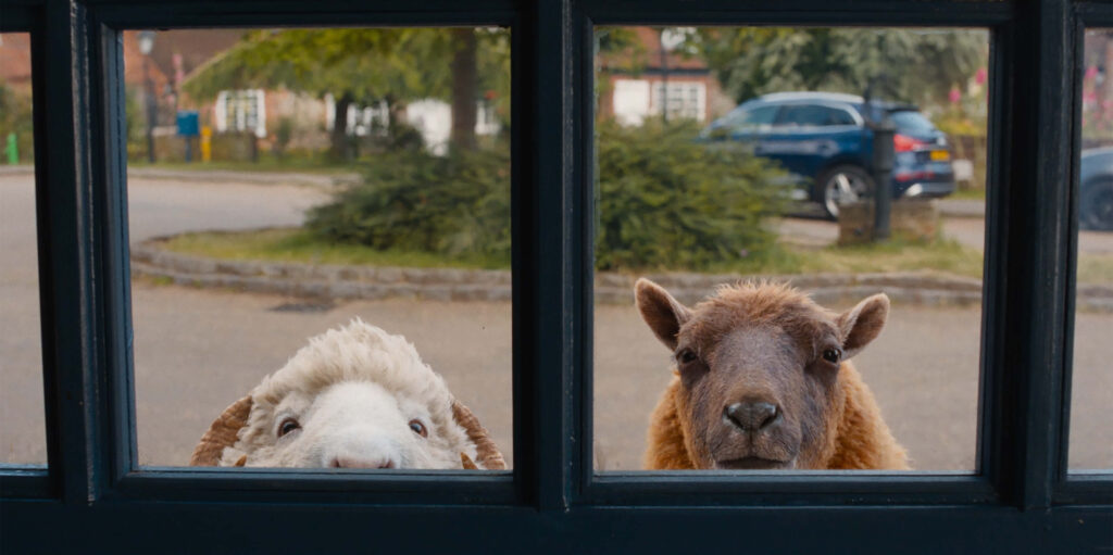 Much of the film's humor comes from the sheep’s interactions with each other and their attempts to manipulate the humans around them into uncovering clues. - The Latino Slant
