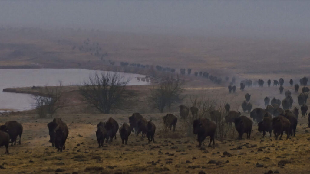 "Gangland" makes use of stunning cinematography through light, color, and framing. - The Latino Slant