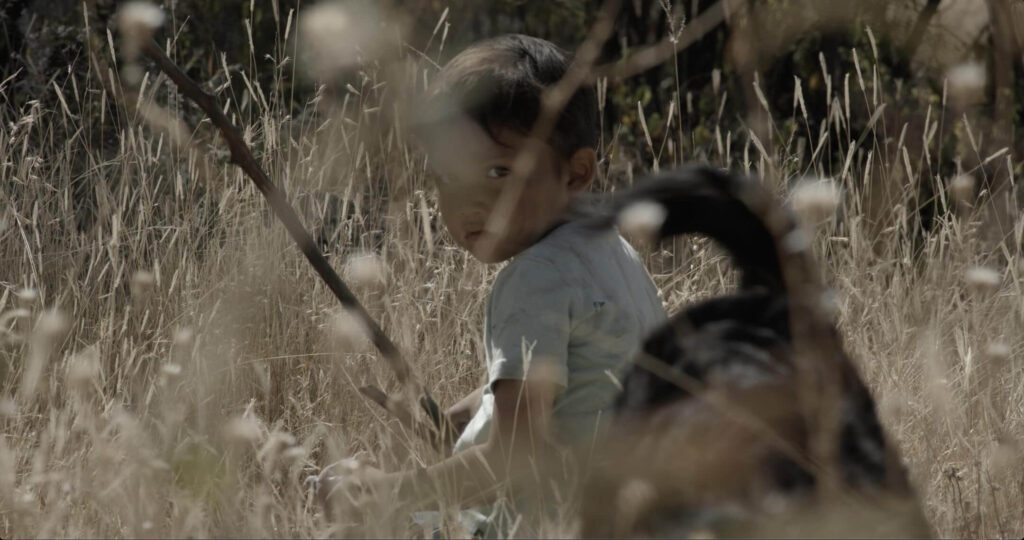 Kevin Aguilar as young Sujo hides in the tall grass in "Sujo." - The Latino Slant